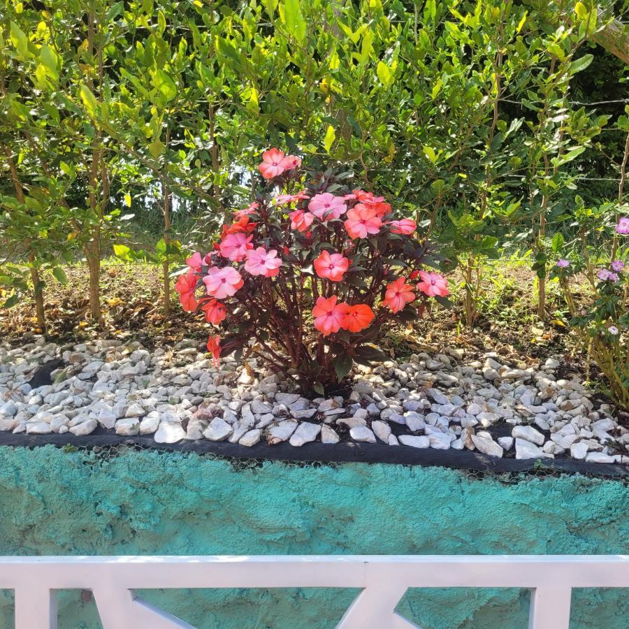 Finca Hotel El Turpial Quimbaya Kültér fotó